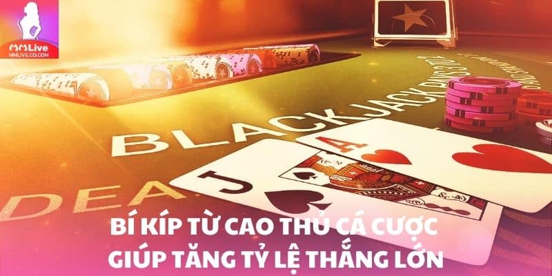 Bí kíp từ cao thủ cá cược trực tuyến sễ giúp tăng tỷ lệ thắng lớn
