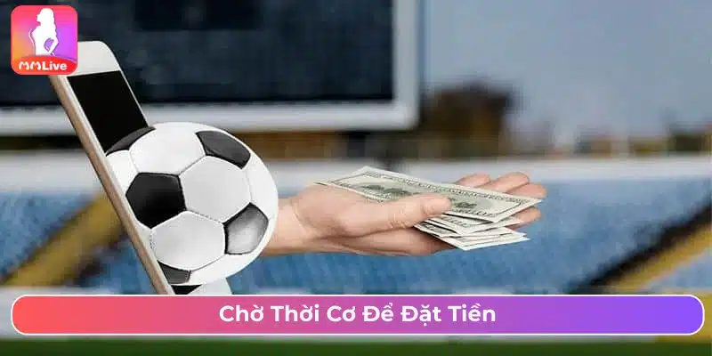 Chờ thời cơ để vào kèo 