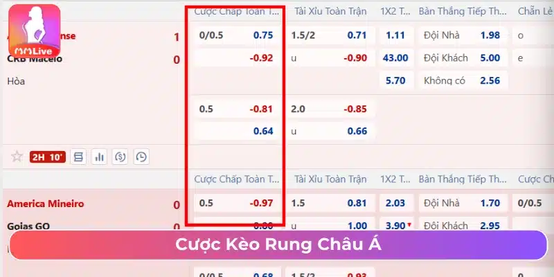 Cược rung đối với kèo chấp 