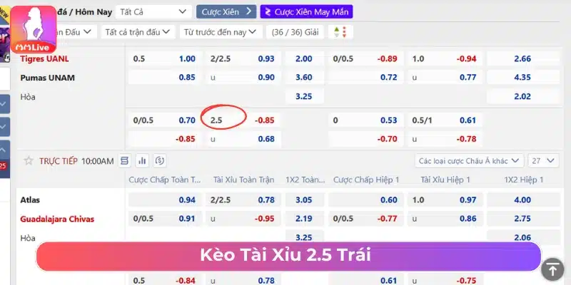 Cá cược kèo Tài Xỉu bóng đá 2.5 trái 
