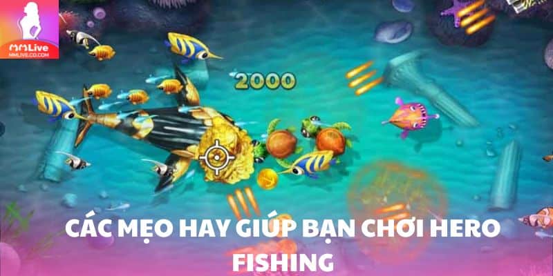 Khám Phá Thế Giới Hero Fishing – Trò Chơi Bắn Cá Đổi Thưởng Hấp Dẫn Hướng dẫn mẹo hay