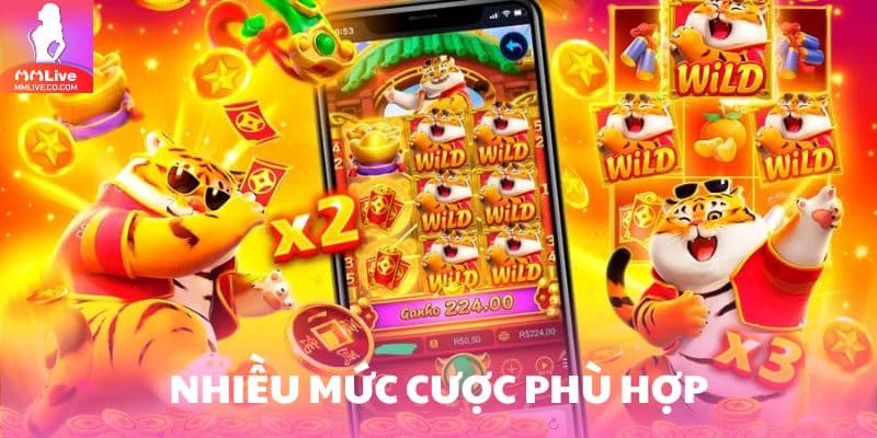 Đa dạng mức cược