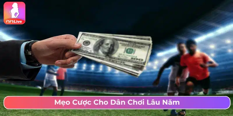 Bí kíp cược hay cho người chơi lâu năm 