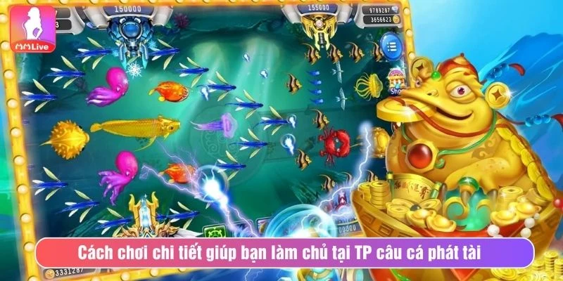Cách chơi chi tiết giúp bạn làm chủ tại TP câu cá phát tài 