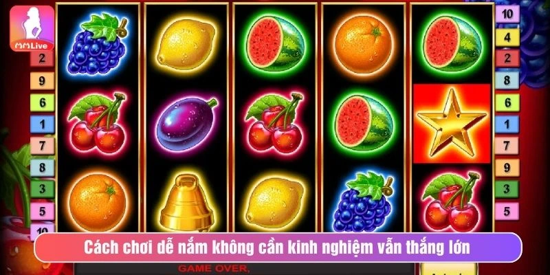 Cách chơi dễ nắm không cần kinh nghiệm vẫn thắng lớn 