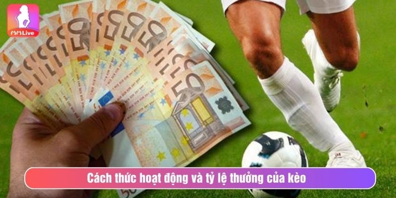Cách thức hoạt động và tỷ lệ thưởng của kèo 